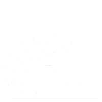 SOLE PNG